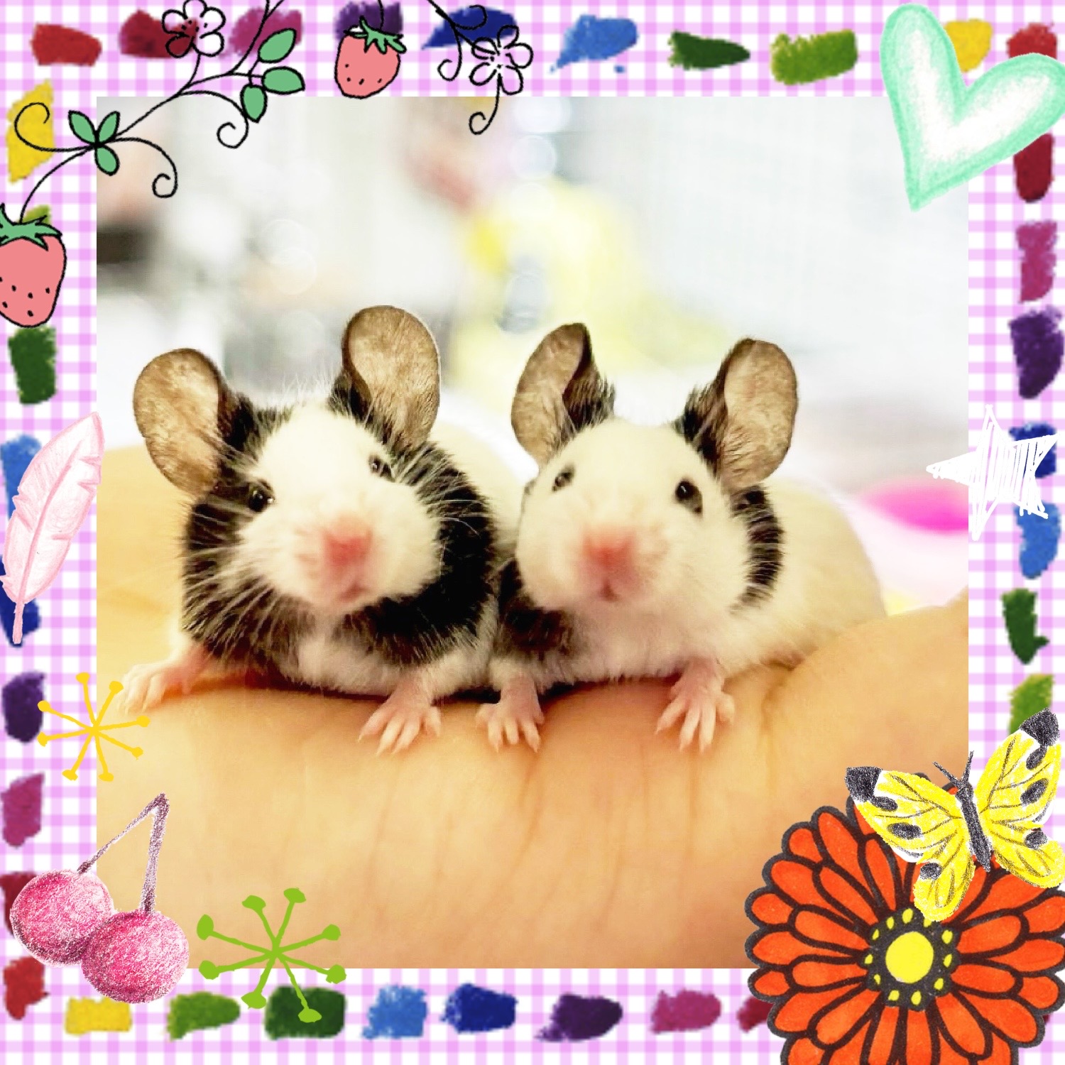 【春日井ぺけっと】いろいろネズミ🐭🐭【哺乳類】