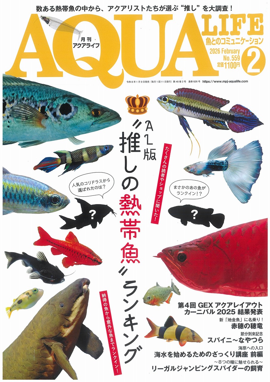 あなたの最推しは！！？