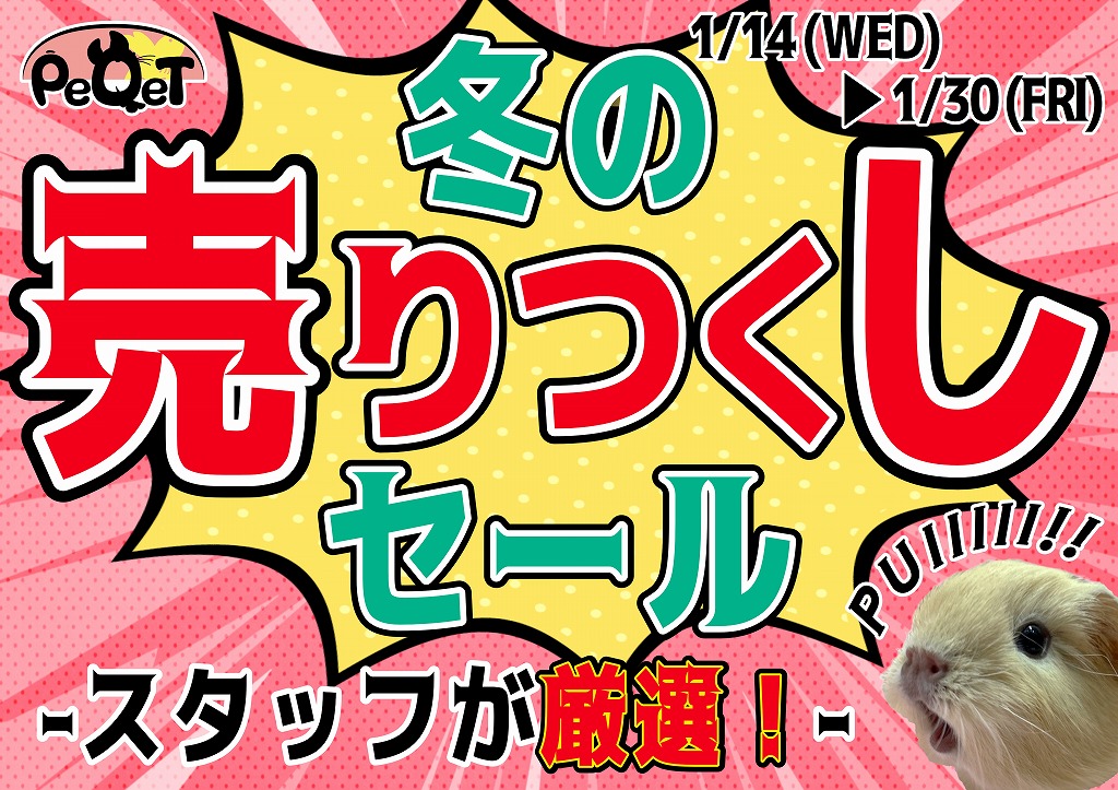 【春日井ぺけっと】大放出だぜ！売りつくしセール！【小動物用品】