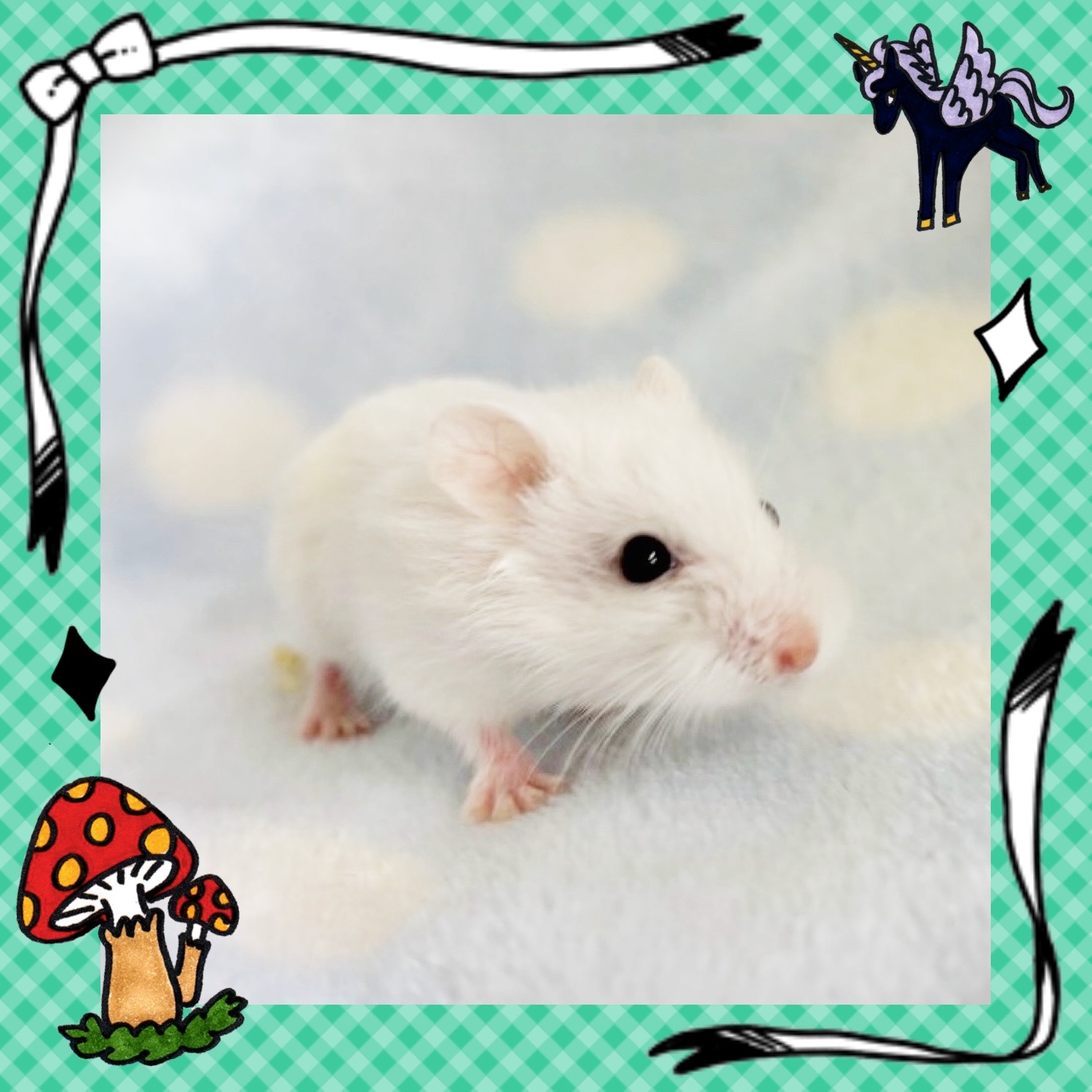 【春日井ぺけっと】ちんまりロボロボ軍団🌟【哺乳類】