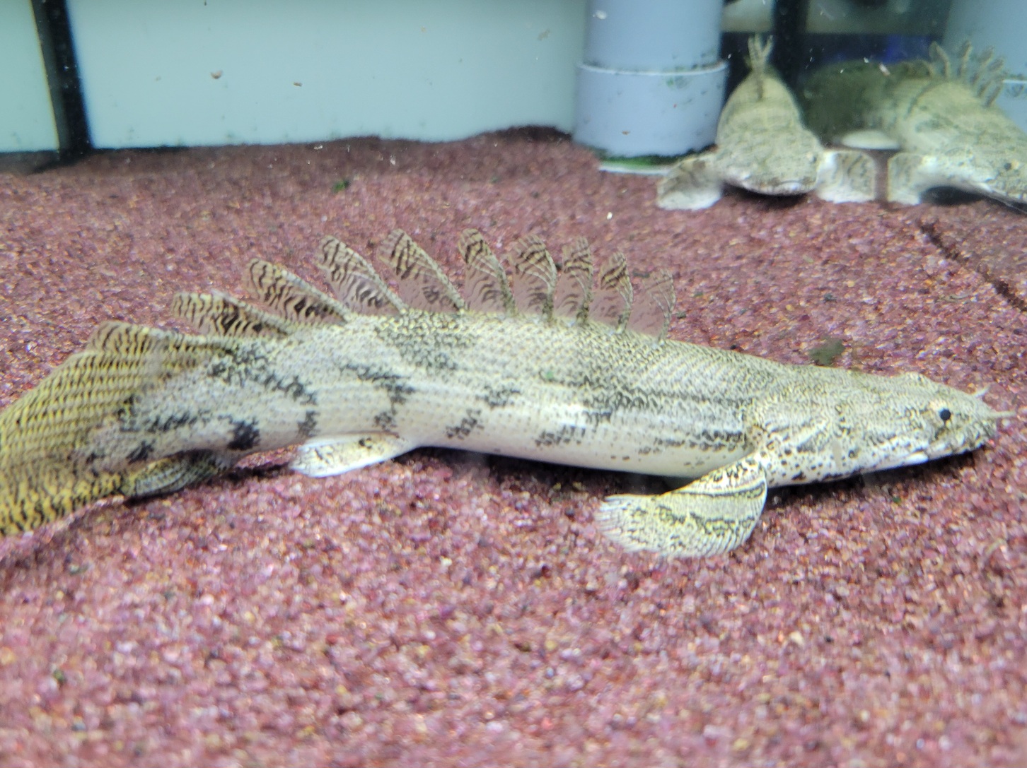 【みなとアクア】新着案内！