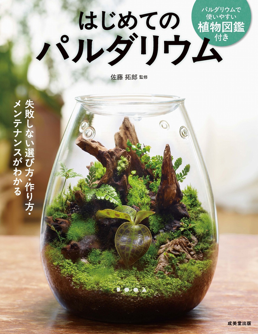 パルダリウムをつくる前に↓